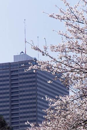 福岡市香椎エリアの理想の住まいを見つけるならドリームステージ香椎セピア通り店